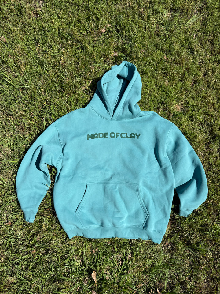 Seek the Lord Hoodie