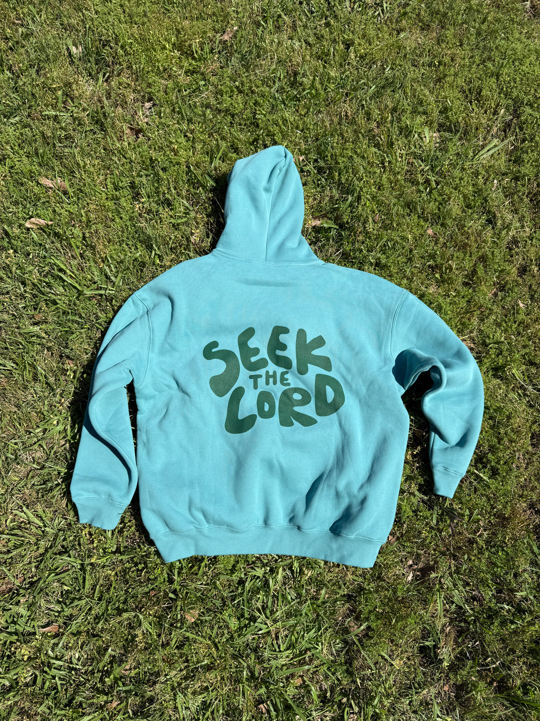 Seek the Lord Hoodie
