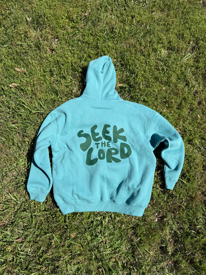 Seek the Lord Hoodie