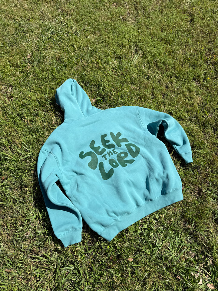 Seek the Lord Hoodie